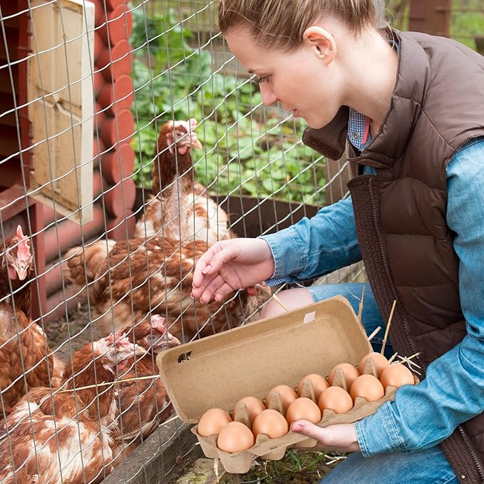 400 Pcs Cardboard Egg Cartons Blank Paper Pulp Egg Cartons One Dozen Egg Cartons Container Empty Egg Tray Pulp Fiber Egg Holder for Kitchen Farm Market Family Storing Eggs, 2 x 6 Style