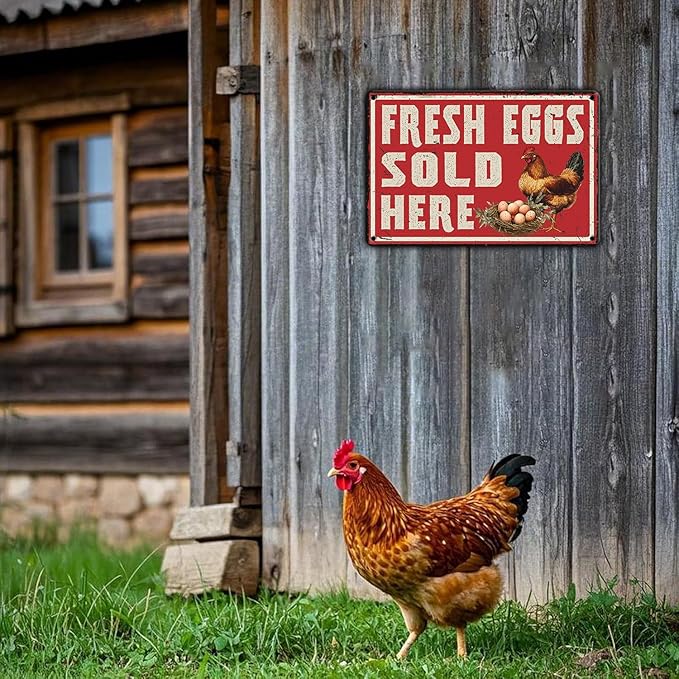 Vintage Farm Fresh Eggs Chicken Coop Metal Sign Funny Fresh Eggs Sale Here Farm Tin Poster Outdoor Farmers Market Wall Decor 12x8 Inch
