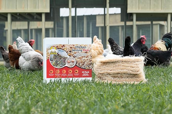 Chicken Nesting Pads with Aromatic Nest Herbs | Natural Excelsior Aspen Fiber Poultry Bedding | 13 x 13 Inches | Pack of 10