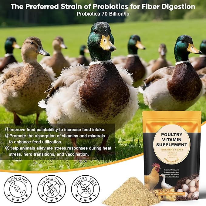 Chicken Vitamins and Supplements Brewer's Yeast Probiotics Niacin Vitamins Supplement for Chickens Ducks, Brewers Yeast Powder for Poultry, Molt Recovery, Severe Stress