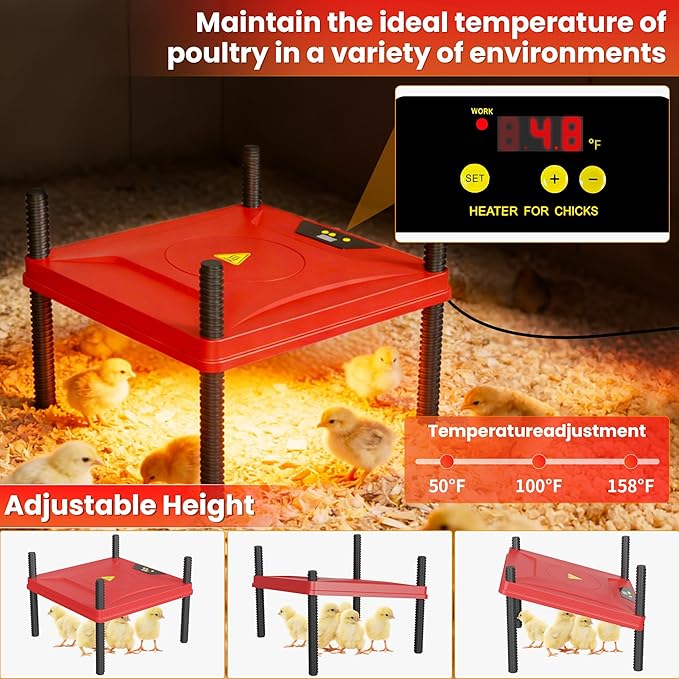 All-in-One Chicken Brooder Box for Chicks Starter Kit with Heater, Perch, Sawdust, Feeder & Waterer, Large Reinforced Stainless Steel Frame Poultry Brooder for Up to 30 Baby Chicks, Ducks & Quail