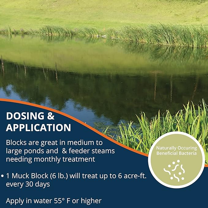 Kasco Macro Zyme Time Release Block Beneficial Bacteria Pack of 2 | Muck Remover for Ponds & Lakes | Non-Chemical Lake & Pond Treatment for Eliminating Sludge & Odors | Treats Up to 6 acre-feet 12 lb.