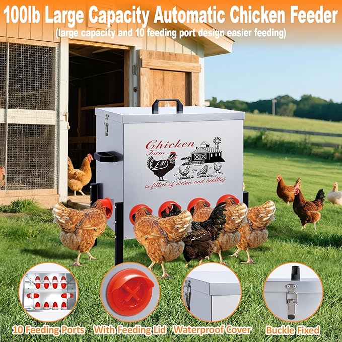 100 LB Automatic Chicken Feeder 10 Port L No-Waste Ports Heavy-Duty Outdoor Metal Feeder with Adjustable Height,Locking Lid & Riveted Handles,Rustproof Feed Box for Poultry & Backyard