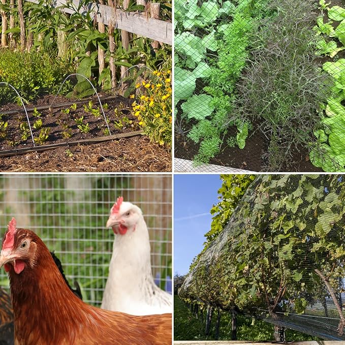 Bird Netting，10 x 30 FT Garden Netting Bird Net for Chicken Coop, Poultry Netting Fence for Fruit Trees, Plants and Vegetables Against Birds, Deer, Squirrels and Other Animals