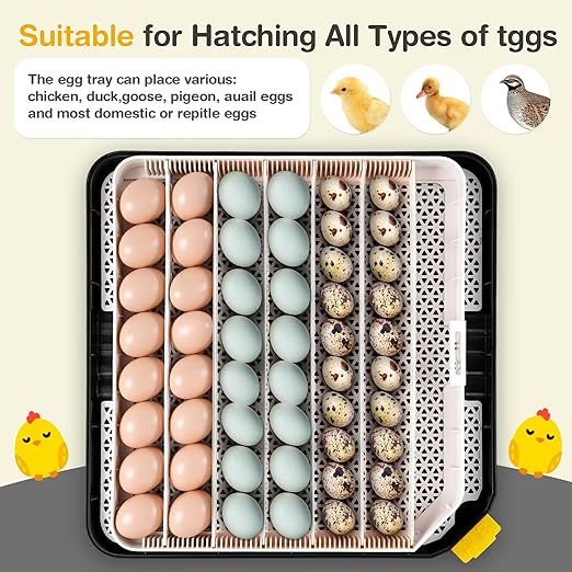 Sailnovo 48 Egg Incubator for Hatching Eggs with Auto Egg Turning, Precision Temp & Humidity Control, 360°Viewing, Egg Candler, Incubator for Chicken Eggs/Duck/Quail,Ideal for Farm/School/Lab,Gray