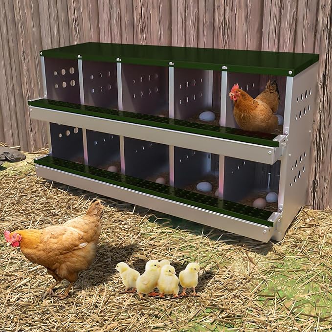 Chicken Nesting Box, 10 Compartment Roll Away Laying Box for Hens, Heavy-Duty Galvanized Steel, Front Egg Collection Tray, 10 Training Eggs Included