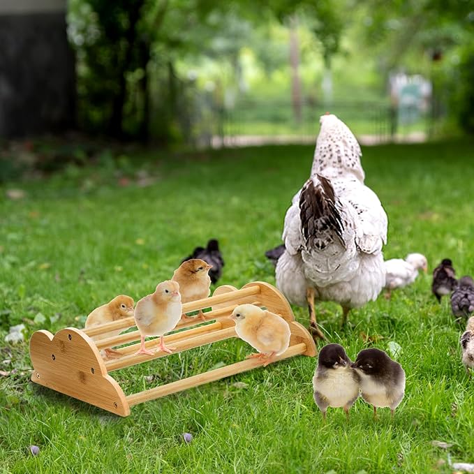 Frcctre 2 Pack Bamboo Chicken Perch, Freestanding Roosting Bar Set Baby Chick Stand Training Perch Chicken Jungle Gym with Built-in Mirrors for Brooder, Coop, Hens