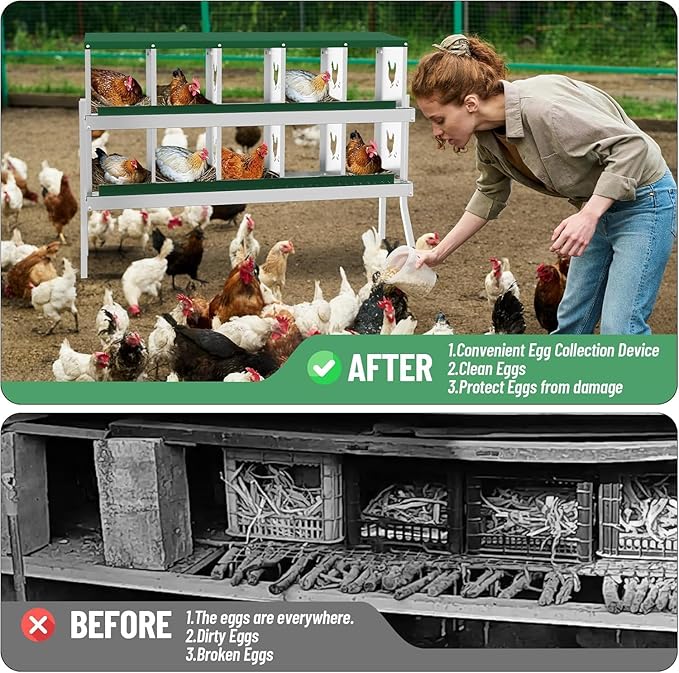 Metal Chicken Nesting Boxes, Heavy-Duty Galvanized Steel Egg Laying Box with 10 Compartments, Rustproof, Easy to Install & Clean, Wall-Mountable Design for Poultry Coops- Green with Stand