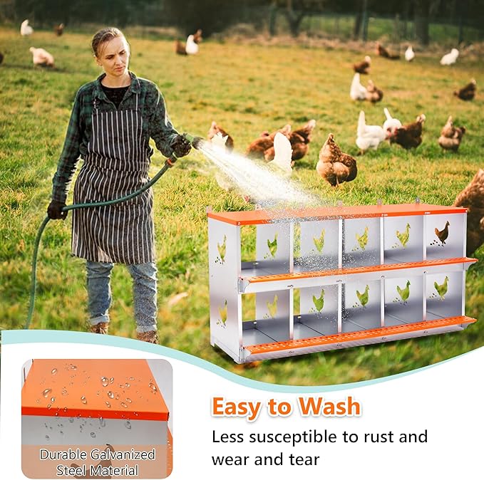 Chicken Nesting Box, 10 Compartment Wall Mount Metal Chickens Laying Boxes for Hens, Ducks, Roll-Out Egg Collection for Chicken Coop, Backyard, Farms, Orange