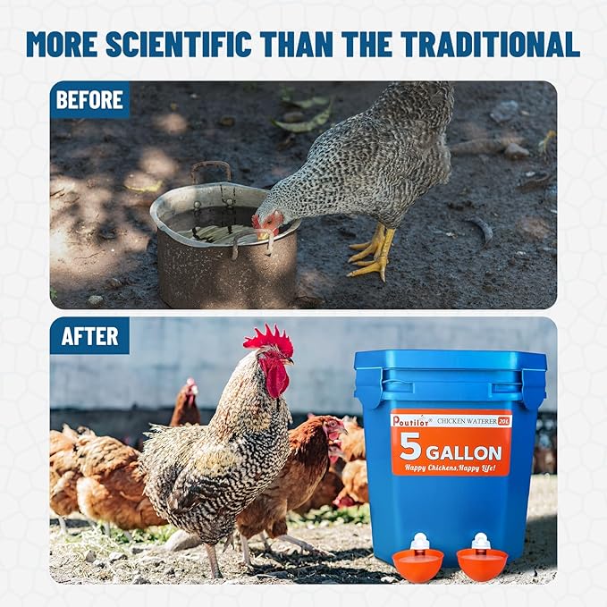 8 Pack Large Automatic Chicken Waterer Cups | Chicken Water Feeder | Poultry Water Feeder Kit | Tee Fittings Poultry Feeder Cups for Chicks, Duck, Turkey, Goose