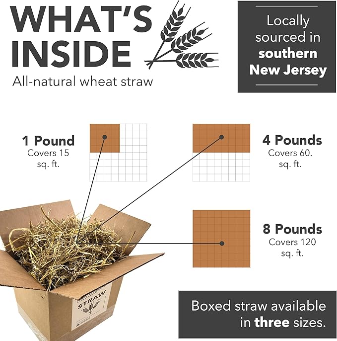 Premium Garden Straw (8 LB) - Straw Mulch That is Designed for Use in Compost Beds, Gardens, Pet Bedding, Lawns and Much More. by Home and Country USA