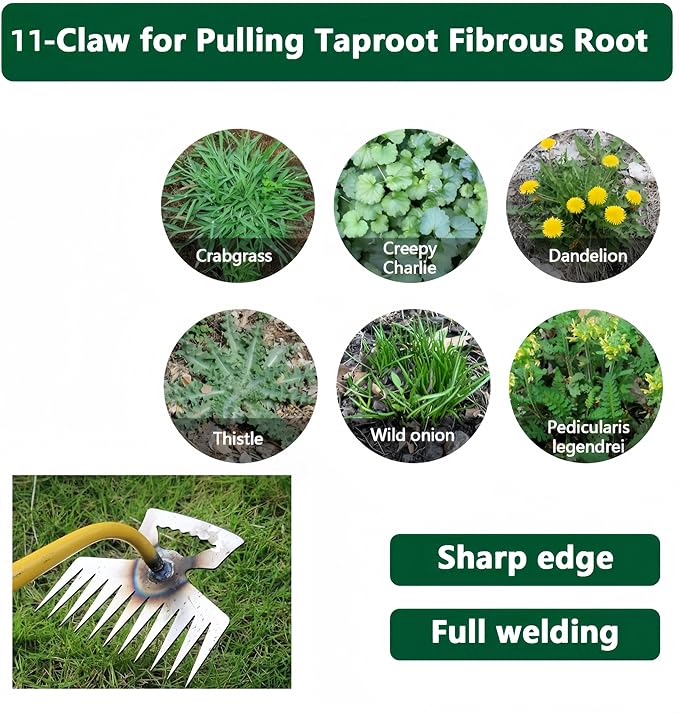 2 Pack Weed Puller Tool, Hand weeder tool, Stainless Steel Weeding Digger Tool.Upgrade 11 Teethes Dual Purpose Manual Multifunctional weed remover tool for Vegetable Gardening Backyard Farm