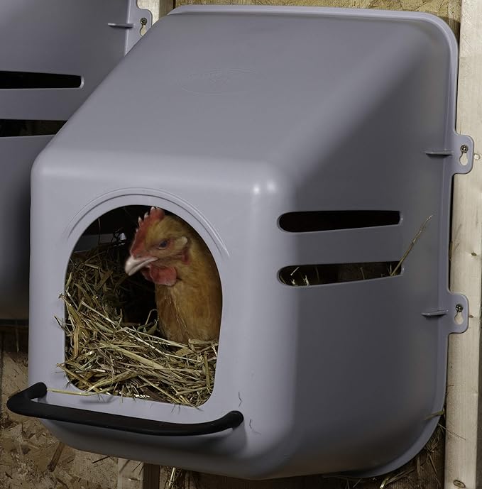 Little Giant Single Plastic Nesting Box Chicken Nest Box with Perch (Item No. 163620)