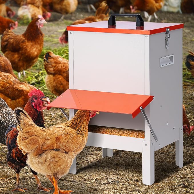 30lbs Automatic Chicken Feeder and Duck Feeder，Large Poultry Feeder for Chickens, Ducks, Geese, Pigeons, Dogs, Cats (Orange)