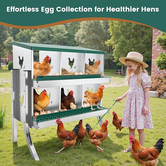 6 Compartment Chicken Nesting Box with Elevated Metal Legs - Heavy Duty Roll Away Egg Collection, Secure Lid & Perch - Versatile Wall Mount or Free Standing Design for Chickens, Hens, Ducks