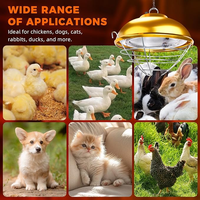 350 Watt Chicken Coop Heater, Hanging Heat Lamp for Chickens, Waterproof Coop Heaters Outdoor for Chicks, Dogs, Cats, Poultry, Pet, Greenhouse Plants