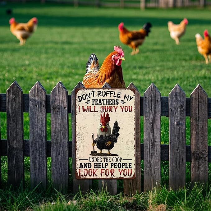 Funny Chicken Signs Don't Ruffle My Feathers Aluminium Sign Metal Chicken Signs Decor Home Ktichen Farm Are Wall 12x16 Inch Vintage Chicken Signs For Coop Metal Tin Signs Poster