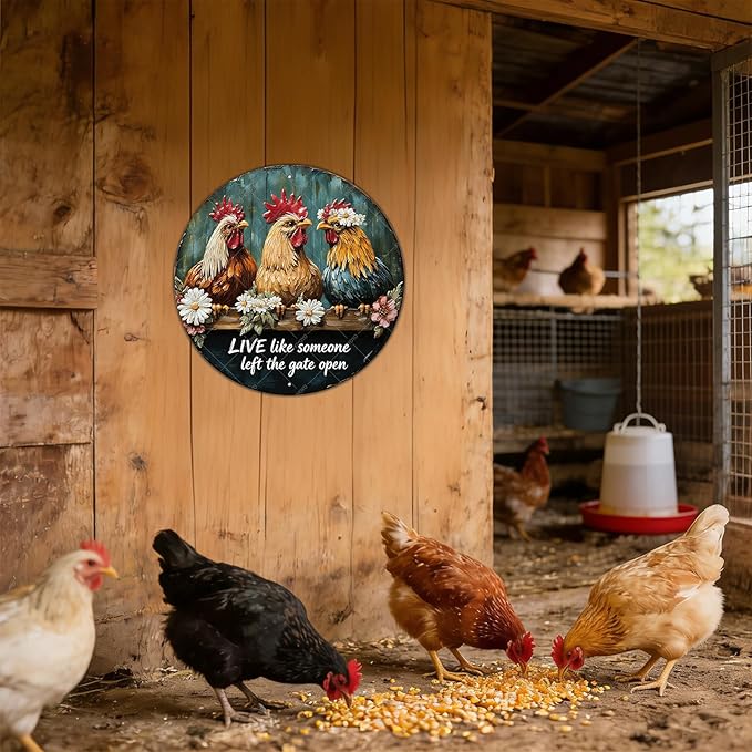 Chicken Wall Decor Live Like Someone Left The Gate Open Poster Funny Farm Chicken Coop Round Metal Tin Signs Home Kitchen Garden Restaurant Rooster Outdoor Yard Wall Art Decor 12 Inch
