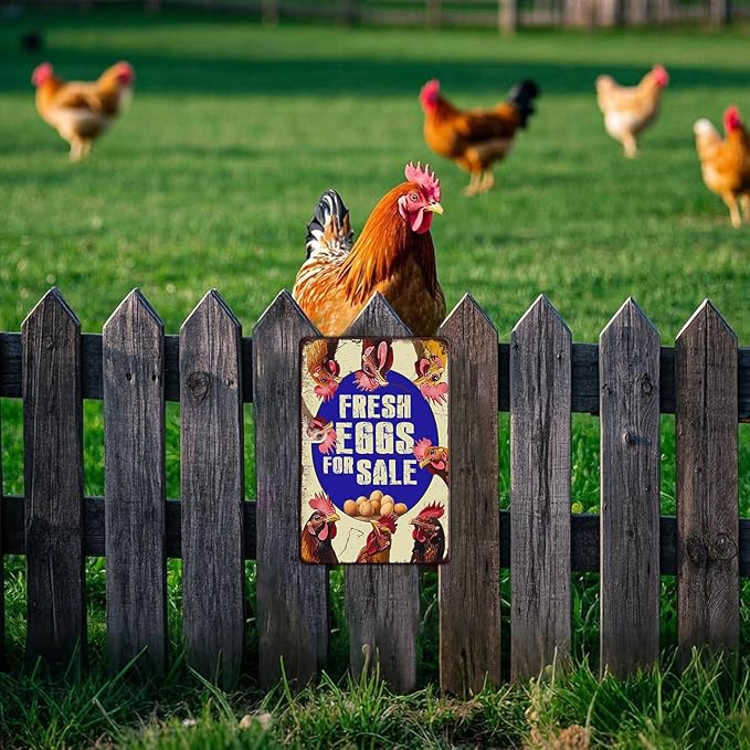 Vintage Fresh Eggs & Chicken Metal Sign Rustic Farm Eggs For Sale Tin Poster Home Kitchen Farmhouse Chicken Wall Decor 12x8 Inch