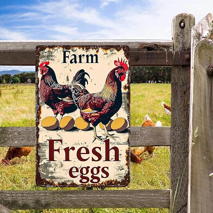 Metal Chicken Sign Chicken Coop Signs Vintage Tin Signs Funny Chicken Sign Rustic Farm Fresh Eggs Sign Chicken Poster Farmhouse Kitchen Decor Chicken Coop Decor Kitchen Wall Art Chicken Gifts