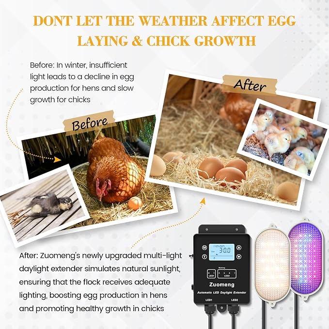 Automatic LED Daylight Extender, Zuomeng Upgraded Chicken Coop Light with Multi-Color Light (White/Red/Blue/Green) to Boost Egg Production & Support Chick Growth, Weather-Resistant (Patent Pending)