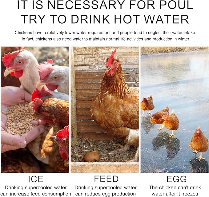 Heated Chicken Waterer - 5 Gallon Metal Base With Temperature Indicator for Winter - For Chickens, Ducks, Pigeons (Does Not Contain Buckets)