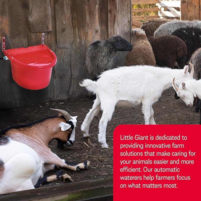 Little Giant FW16RED 4 Gallon Capacity Automatic Float Controlled Waterer Animal Horse & Cattle Livestock Water Trough, Red (3 Pack)