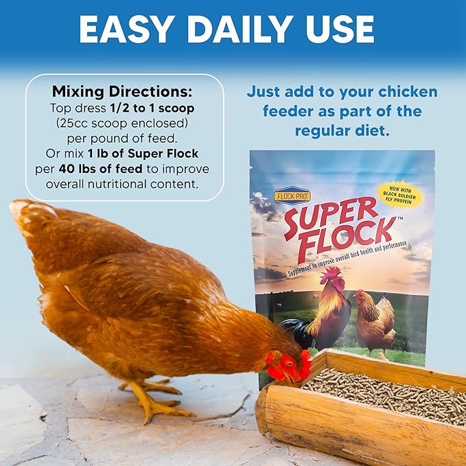 Super Flock Premium Pellet Chicken Supplement Boost Health & Egg Quality with Vitamins, Probiotics, Minerals, Chicken Supplies (1 lb)