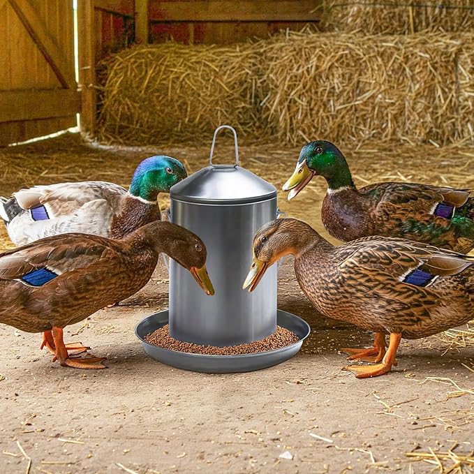 Plexon 6.6 Lb Poultry Feeder Stainless Steel Hanging Chicken Feeder no Waste Food-Grade with 6 Gallon Galvanized Storage Bucket with Locking Lid for Bird Seed Chicken Feed, Bundle