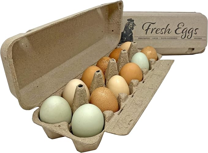 Printed Paper Pulp Egg Cartons - Fresh Eggs (15)