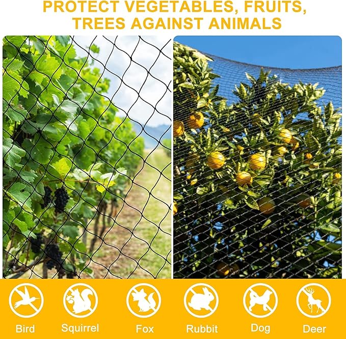 Bird Net 25'x25' with 2.4" Square Mesh Bird Netting for Chicken Coop Roof, Poultry Netting Heavy Duty Nylon for Garden, Chicken Netting Fruit Tree Netting, Hawk Netting for Chicken Run