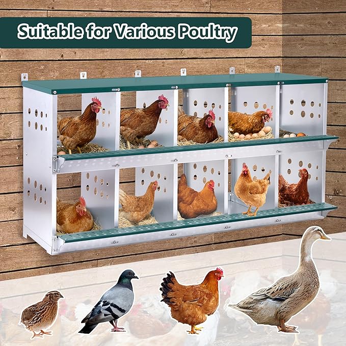 10 Compartment Nesting Boxes for Chickens with Large Vented Holes Roll Away Nesting Boxes Wall Mountable Laying Box Indoor & Outdoor Use Easy Egg Collection for Chicken Coop, Backyard, Farms, Green