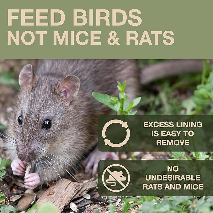 SWISSINNO Bird Feeders - No Mess Fat Ball/Suet Feeder for Outdoors Hanging - Smart Birds Lucerne Spill Proof Wild Cardinal Bird Feeder with Integrated Seed Catcher Tray - Sage