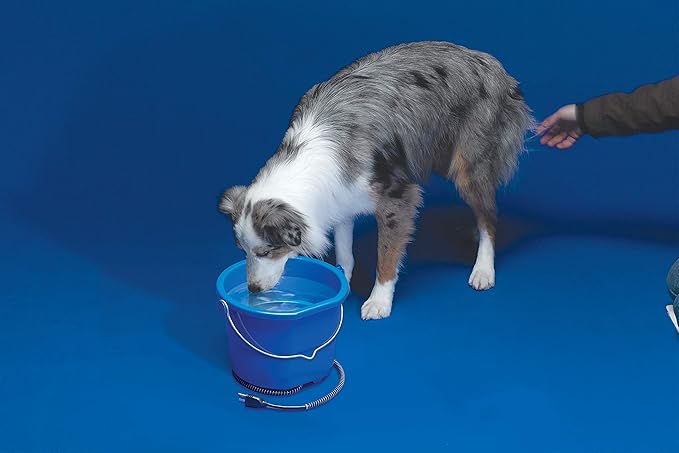 API® Heated Bucket | Heated Flat Back Bucket | Water Pail with Warmer for Cattle, Livestock, and Horses | Winter No Freeze Tub (10 Quart, 1 Count)
