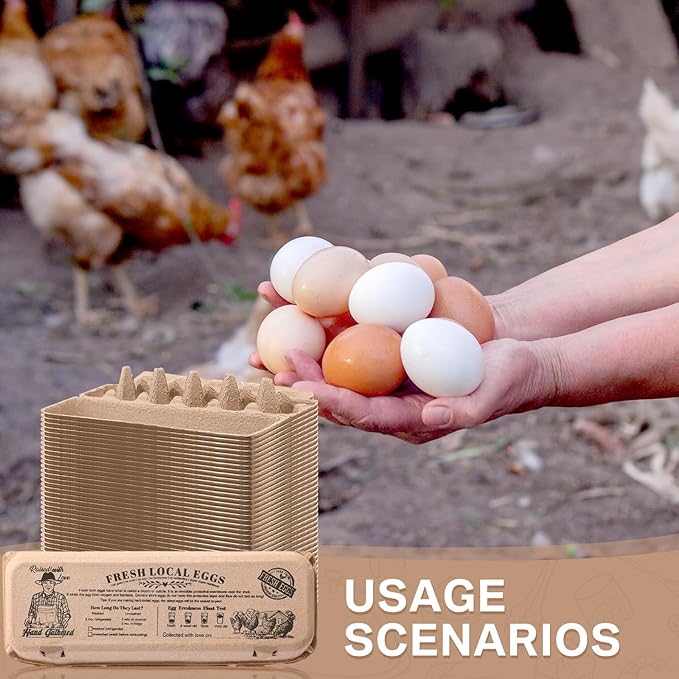 Honeydak 100 Pcs Egg Cartons Bulk 12 Count 2x6 Style Reusable Pulp Paper Egg Tray Dozen Storage Box Container Holder for Supermarkets Fresh Kitchen Family Farm Markets (11.81x10.04x2.76 In)
