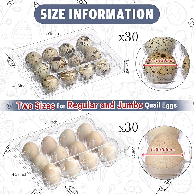 60 Pcs Quail Egg Cartons Combo, 12 Grids Clear Egg Cartons Clear Plastic Stackable Trays – Fit Both Standard & Jumbo Quail Eggs Also for Pigeon Small Poultry Ideal for Home Farm Market Use
