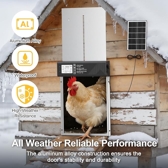 Larger Size Automatic Chicken Coop Door Solar Powered, 4000MAh Internal Battery Automatic Coop Door Anti-hit Side Charging Port, Automatic Chicken Door with Timer, Light Sensor 4Modes & Remote Control