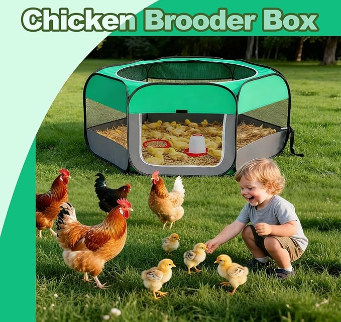 Pop Up Chicken Brooder Starter Kit - Easy to Assemble, Portable & Easy to Clean Brooder Box for Baby Chicks & Ducklings
