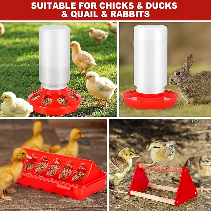 Chicken Brooder Box for Chicks, Brooder Box with Feeder and Waterer, Chick Starter Kit with Chick Perch for Small Poultry Ducks Quail