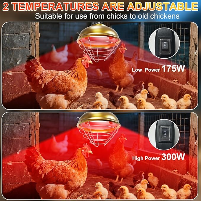 Nexum Heat Lamp for Chicken Coop, Dog Kennel, Cat Bed & Reptiles - 300W Adjustable Infrared Heat Lamp with 2 Heat Settings, Waterproof Aluminum Housing for Poultry, Livestock & Pets