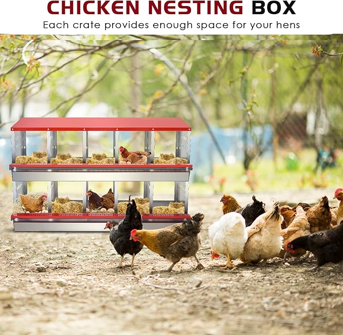 Nesting Box for Chickens, Roll Away Chicken Nesting Boxes with Easy Egg Collection Heavy Duty Metal Laying Box for Hens - 10 Compartment