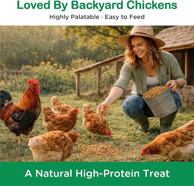 5LB Dried Black Soldier Fly Larvae – High Calcium Chicken Treat for Laying Hens, Ducks & Wild Birds, 85X More Calcium Than Mealworms, Premium High-Protein Poultry Snack