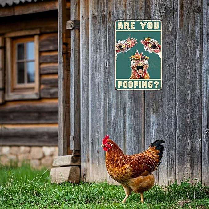 Vintage Are You Pooping Chicken Metal Sign Funny Chicken Coop Farm Metal Poster Home Kitchen Bathroom Garden Toilet Tin Sign Wall Decor 12x8 Inch