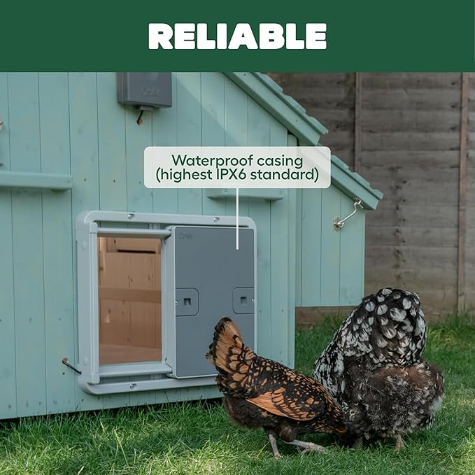 Omlet Automatic Chicken Coop Door Opener | Operated by Light Sensor or Timer | Easy to Install, No Maintenance Required | Improves Coop Security and Insulation | Built-in Safety Sensors | Grey
