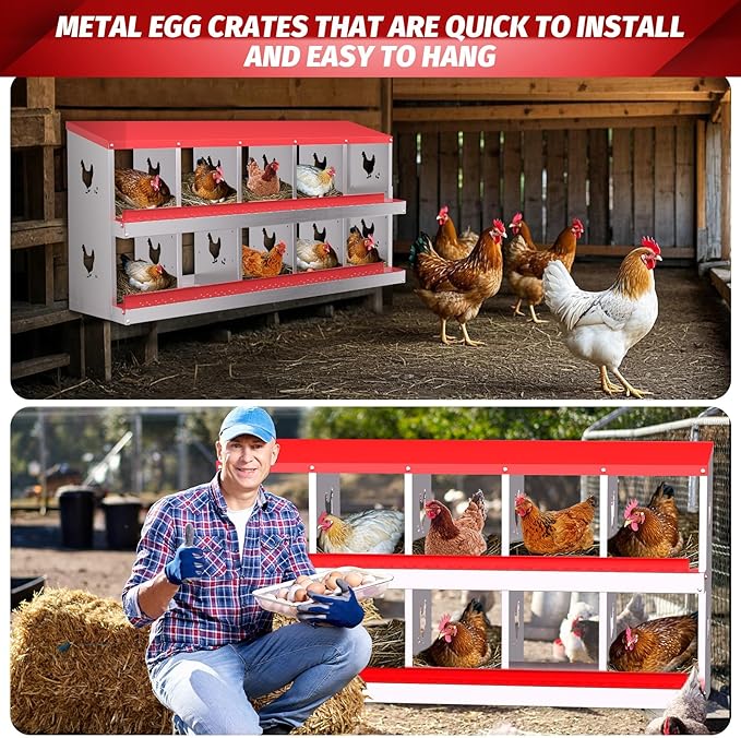 Chicken Nesting Boxes, 10-Compartment Metal Egg Laying Box with Swing Perch and Secure Lid – Versatile Wall Mount or Free Standing Suitable for Various Chicken Breeds -red