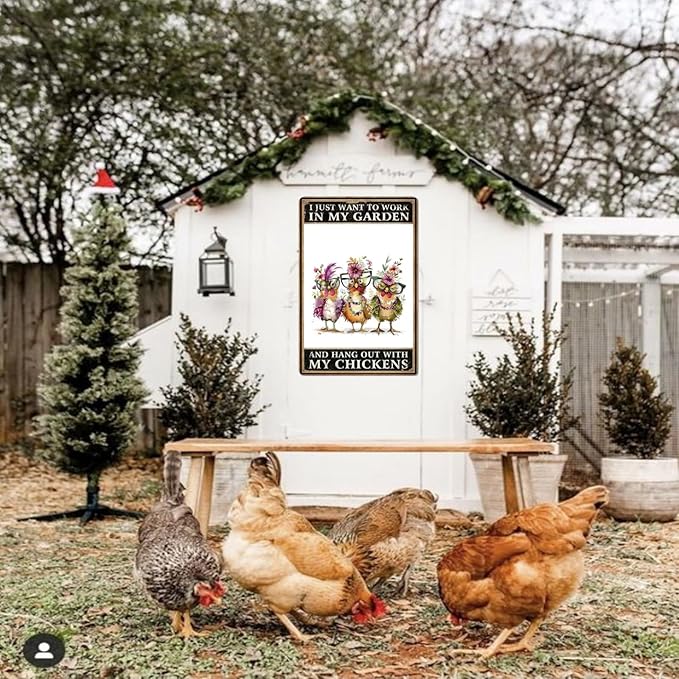 Funny Chicken Signs Chicken Coop Signs I Just Want To Work In My Garden And Hang Out With My Chickens Tin Signs for Home Farmhouse Garden Decor (8 X 12 Inch)