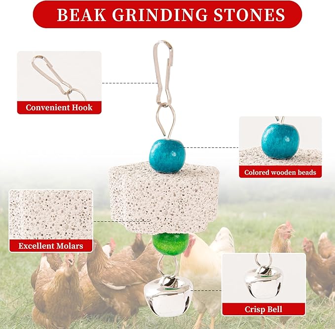 RLRICH 6 PCS Chicken Toys for Coop, Hanging Swing Mirror with Bells Chicken Vegetable Cabbage Feeder for Hens Goose Duck, Chick Beak Grinding Calcium Stone Chewing Toy Chicken Coop Accessories
