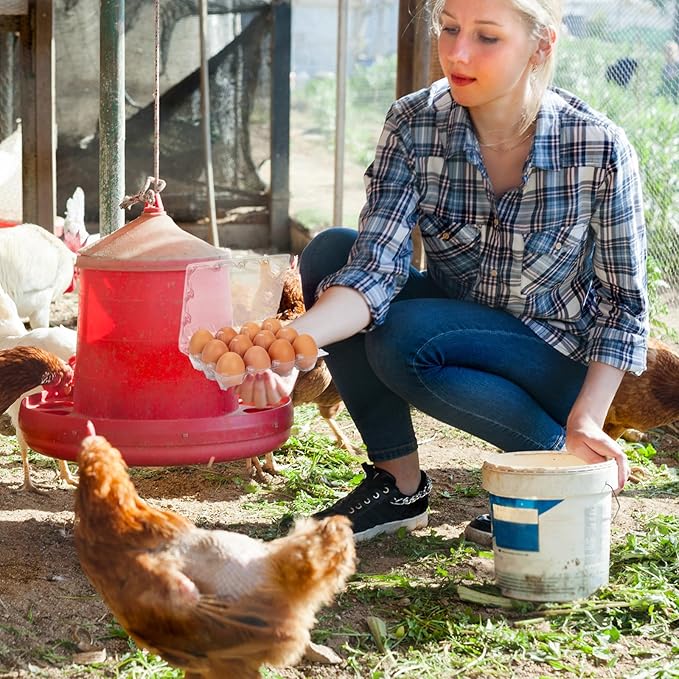 120Pack Egg Cartons Cheap Bulk One Dozen Clear Egg Cartons for Home Ranch Chicken Farm, Commercial Business Market Display, 3x4 Grids