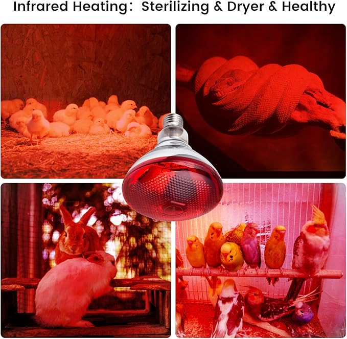 Heat Lamp for Chickens Coop Brooder and Reptile Heat Bulb 150 Watt Infrared Red Light