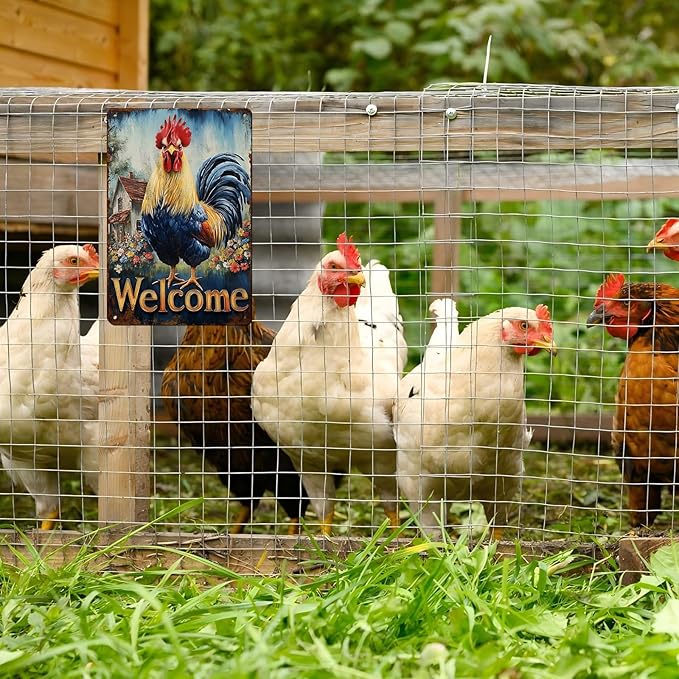 Vintage Rooster Tin Sign Welcome Retro Chicken Rustic Wall Decor Nostalgic Art Funny Coop Metal Poster Outdoor Store Cafe Farmhouse Kitchen Garden Plaque Bar Pubs Yard Farm 12 * 8inch